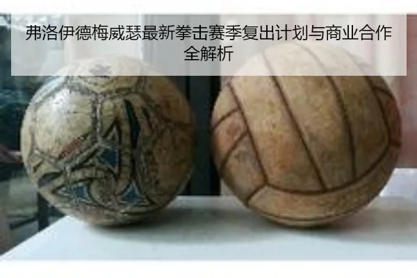 弗洛伊德梅威瑟最新拳击赛季复出计划与商业合作全解析（B）